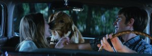 Собачья жизнь (A Dog's Purpose)