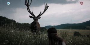 1 сезон 4 эпизод — «Treasure»