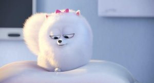 Тайная жизнь домашних животных (The Secret Life of Pets)