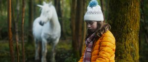 Волшебный единорог (Tale of the Forest Unicorn)