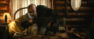 Путь домой (A Dog's Way Home)