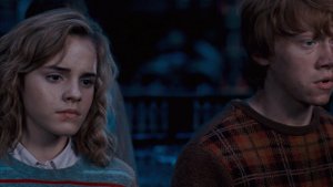 Гарри Поттер и Орден Феникса (Harry Potter and the Order of the Phoenix)