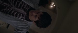 Донни Дарко (Donnie Darko)