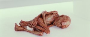 Гарри Поттер и Дары Смерти: Часть II (Harry Potter and the Deathly Hallows: Part 2)