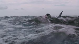 Над глубиной: Хроника выживания (Open Water 3: Cage Dive)