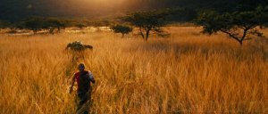 Первобытное зло (Primeval)