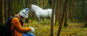 Волшебный единорог (Tale of the Forest Unicorn)