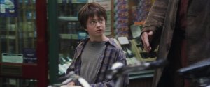 Гарри Поттер и философский камень (Harry Potter and the Sorcerer's Stone)