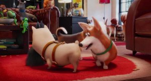 Тайная жизнь домашних животных (The Secret Life of Pets)