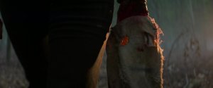 Незнакомцы: Глава 3 (The Strangers: Chapter 3)