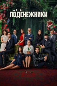 Постер Подснежники (2025)
