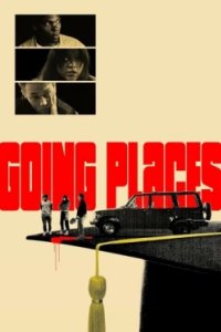 Постер Влипли по-крупному (Going Places)