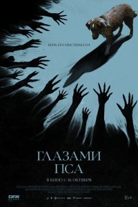 Постер Глазами пса, Good Boy (2025)