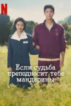 Когда жизнь даёт тебе мандарины (2025)